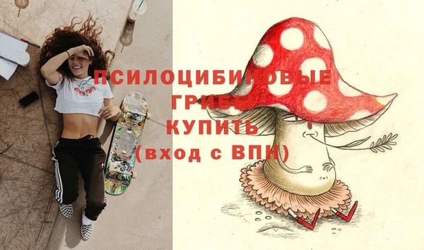 не бодяженный Армянск