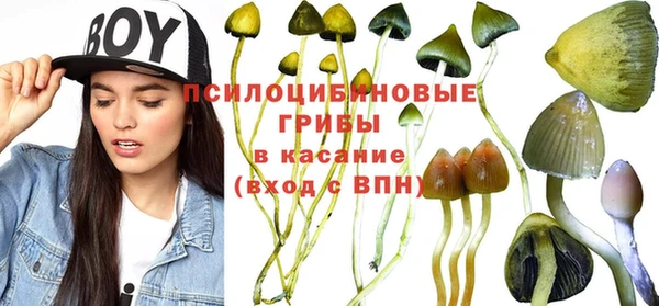 не бодяженный Армянск